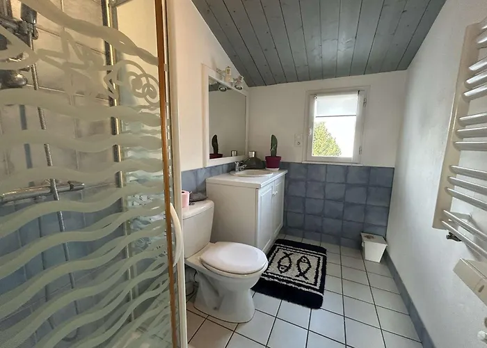 Maison De 6 Pers Avec Piscine à - Fr-1-224b-240 La Guérinière